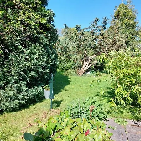 Haus Sonnenblume Oldenswort