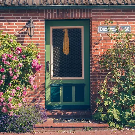 Haus Sonnenblume בית נופש